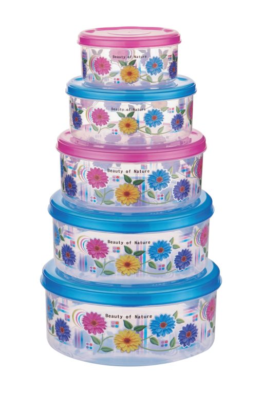 Airtight Container Transprent 5Pc Set (250/500/1000/1500/2500 Ml).