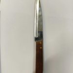 Small Knife Wooden Handal 8 Inch