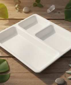 Plastic Paubhaji Plate 3 In 1 [SMALL]